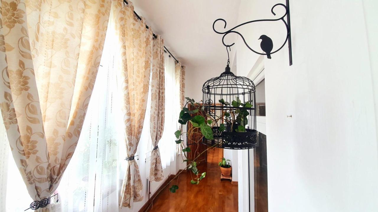 Writer S Street Residence Arad Esterno foto
